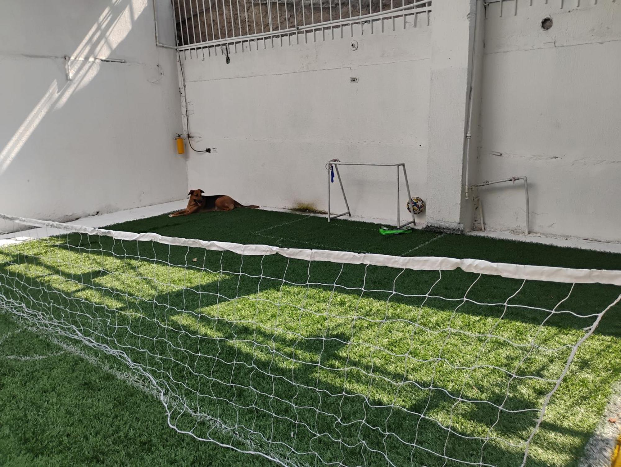 Pensión Safarihostal